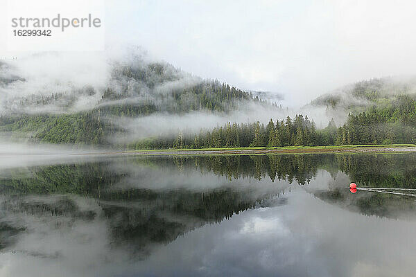 Kanada  Britisch-Kolumbien  Khutzeymateen Valley  Khutzeymateen Provincial Park  Fjord mit Nebel