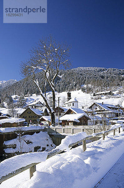 Deutschland  Bayern  Dorf Gunzesried im Winter