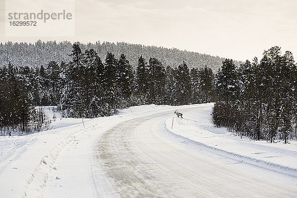 Finnland  Winterlandschaft bei Inari