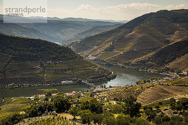 Aussicht auf die terrassenförmigen Hügel rund um den Fluss Douro