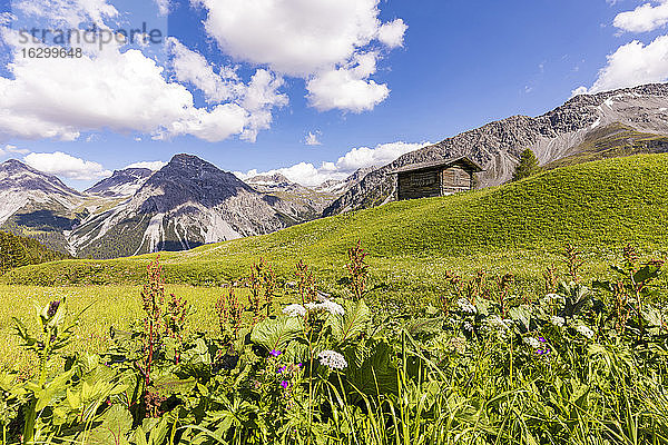 Schweizer Alpen im Sommer mit abgelegener Hütte im Hintergrund