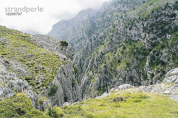 Berge der Ruta Del Cares  Asturien  Spanien