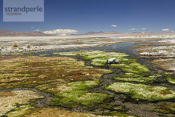 Bolivien  Atacama-Wüste  Salar de Chalviri