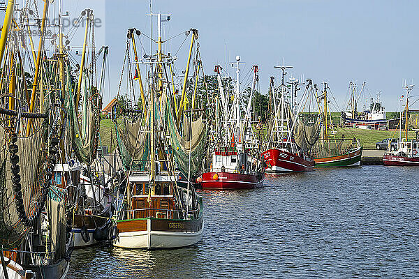 Deutschland  Niedersachsen  Krummhorn  Krabbenkutter vor Anker in Greetsiel