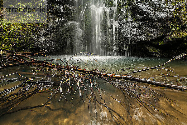 Neuseeland  Whitianga  Wasserfall