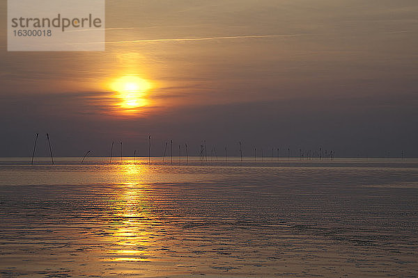 Deutschland  Niedersachsen  Dorum  Sonnenuntergang am Wattenmeer