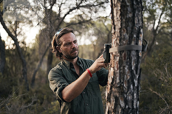 Mann  der die Einstellungen der an einem Baumstamm im Wald befestigten Kamera vornimmt
