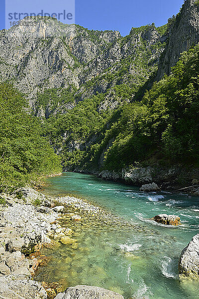 Montenegro  Crna Gora  Durmitor-Nationalpark  Fluss Tara