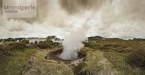 Neuseeland  Taupo Volcanic Zone  Craters of the Moon  geothermisches Feld