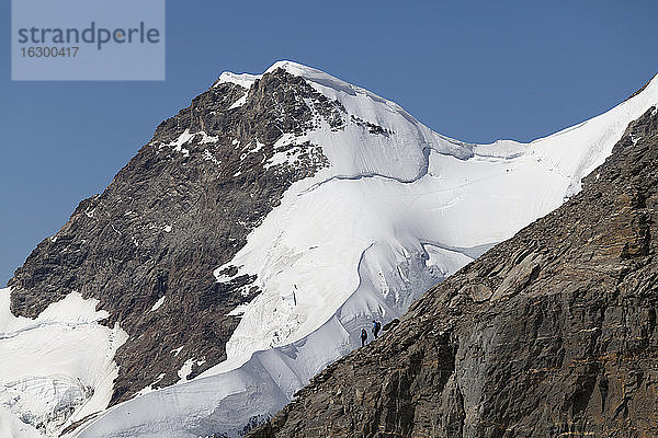 Schweiz  Berner Oberland  Aletschgletscher  Moutaineers im Abstieg vom Monch