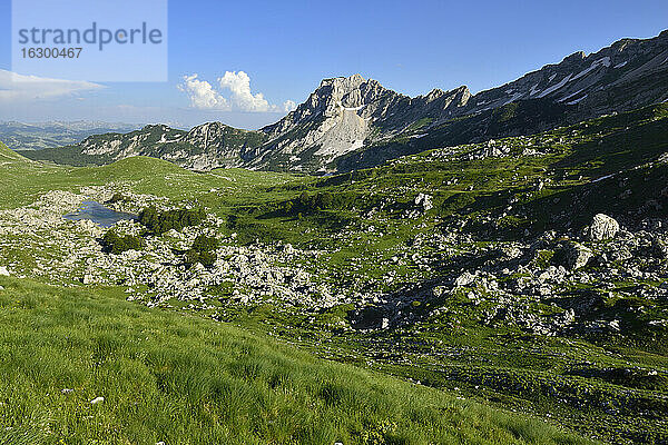 Montenegro  Durmitor-Nationalpark  Alpweide bei Valoviti Do
