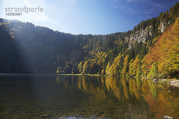 Deutschland  Baden-Württemberg  Schwarzwald  Feldsee und Blick zum Seebuck