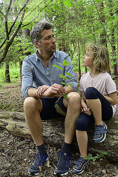 Vater spricht mit Tochter auf einem Baumstamm im Wald sitzend