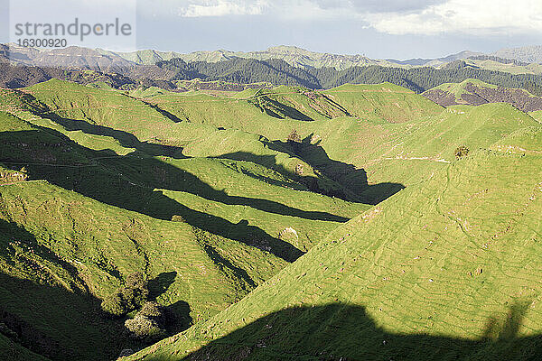 Neuseeland  Wanganui  Blick auf die Berge