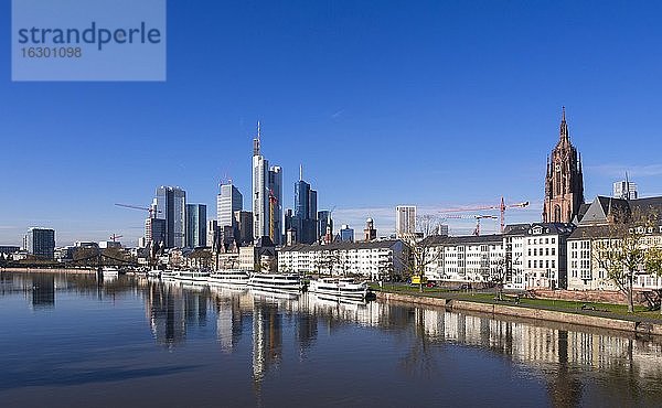 Deutschland  Hessen  Skyline von Frankfurt mit Main