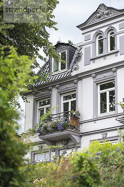 Deutschland  Hamburg  Weiß gestrichenes Wohnhaus im Sommer