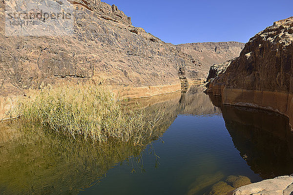 Afrika  Algerien  Tassili N'Ajjer National Park  Iherir  Wasser in einem Guelta in der Idaran-Schlucht