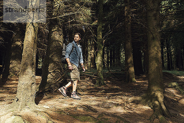 Männlicher Wanderer mit Rucksack geht gegen Bäume im Wald