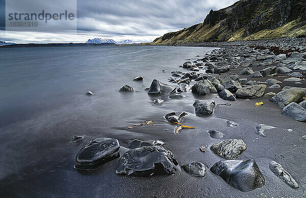 Island  Austurland  Nordatlantik  Hvitserkur  Strand mit Steinen