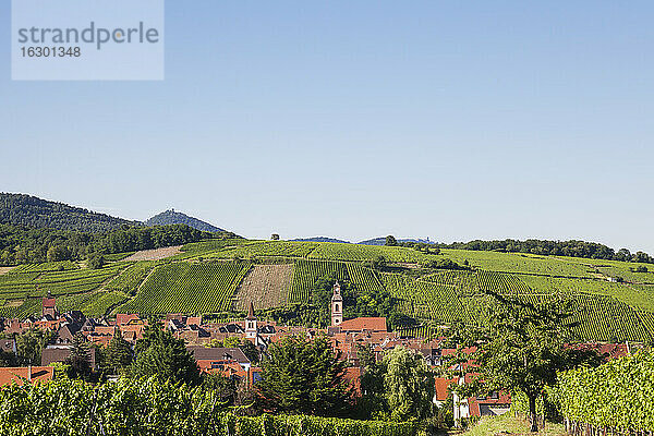 Frankreich  Haut-Rhin  Riquewihr  Klarer Himmel über ländlichem Dorf und umliegenden Weinbergen im Sommer