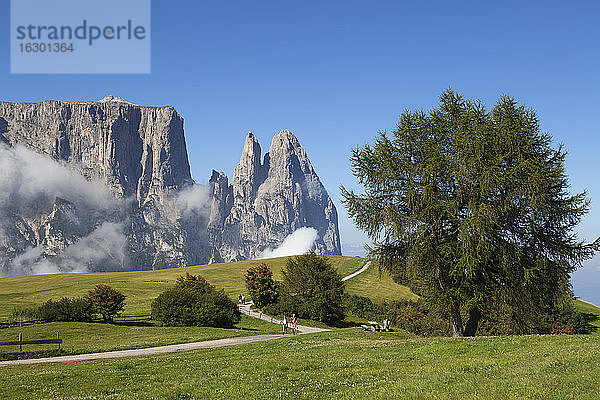 Italien  Südtirol  Seiseralm und Schlerngruppe