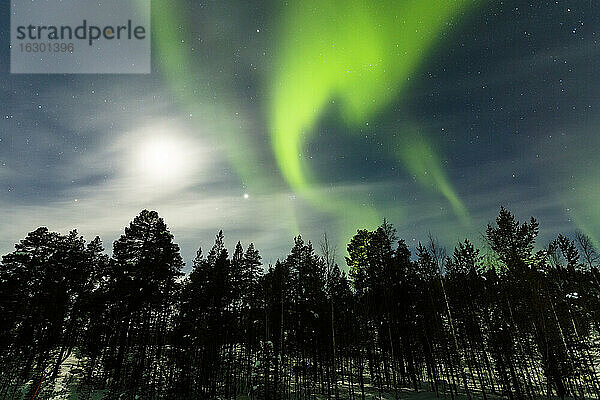 Polarlichter in Finnland bei Saariskalae