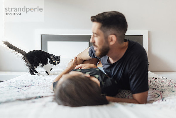 Ehepaar liegt auf dem Bett und spielt mit der Katze zu Hause