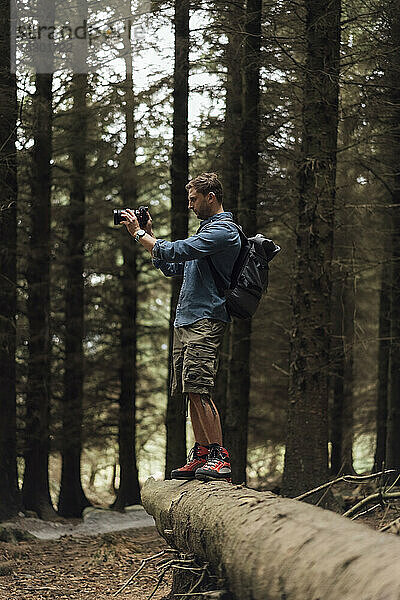 Männlicher Wanderer  der mit der Kamera fotografiert  während er auf einem Baumstamm im Wald steht