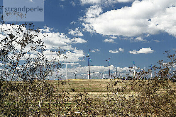 Deutschland  Sachsen  Windkraftanlage