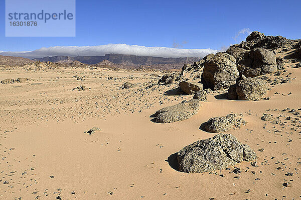 Algerien  Sahara  Nationalpark Tassili N'Ajjer  Hochebene von Tassili N'Ajjer