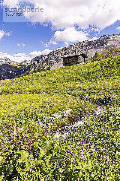Schweizer Alpen im Sommer mit abgelegener Hütte im Hintergrund