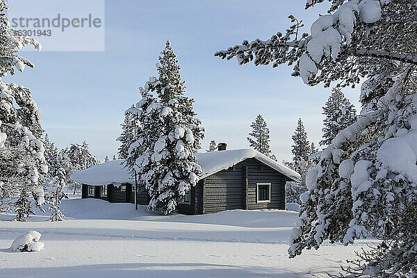 Finnland  bei Saariselka  Blockhaus zwischen schneebedeckten Bäumen