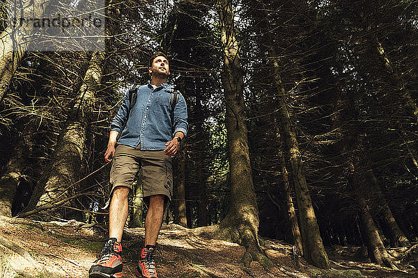 Männlicher Wanderer  der wegschaut  während er gegen Bäume im Wald steht