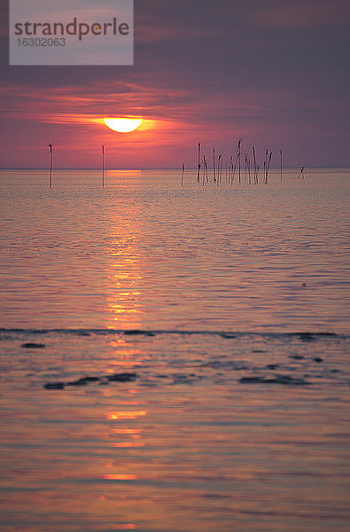 Deutschland  Niedersachsen  Dorum  Sonnenuntergang am Wattenmeer