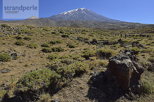 Türkei  Ostanatolien  Provinz Agri  Nationalpark Berg Ararat