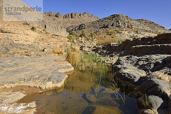 Algerien  Tassili N'Ajjer National Park  Iherir  Wasser in einem Guelta in der Idaran-Schlucht