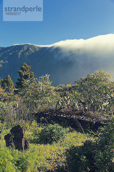 Spanien  Kanarische Inseln  La Palma  Landschaft im Nationalpark Caldera de Taburiente