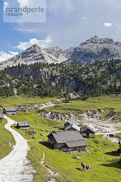 Italien  Südtirol  Dolomiten  Naturpark Fanes-Sennes-Prags  Blick auf Fodara Vedla