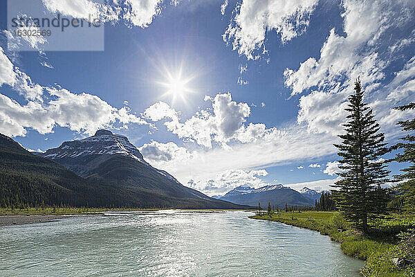 Kanada  Alberta  Jasper National Park  Banff National Park  Icefields Parkway  Fluss im Sonnenlicht