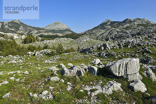 Montenegro  Crna Gora  Karstlandschaft im Lovcen-Nationalpark