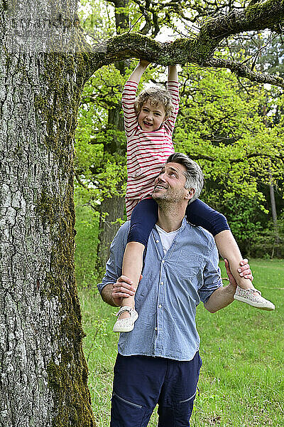Mädchen hält einen Ast und sitzt auf der Schulter ihres Vaters im Wald