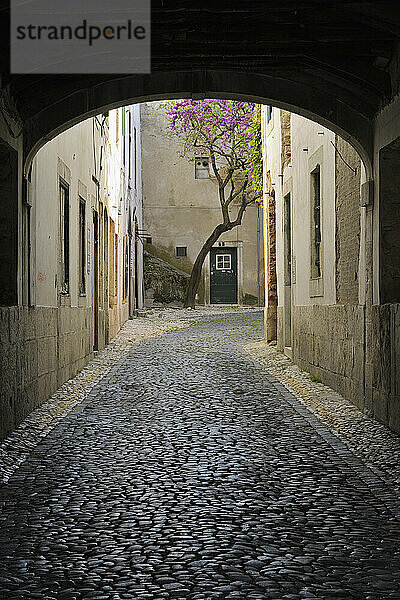 Portugal  Lissabon  Kleine kopfsteingepflasterte Straße durch einen Bogen