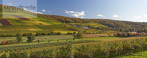Deutschland  Baden-Württemberg  Weinberge bei Pfaffenweiler im Markgraflerland