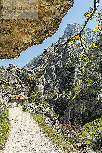 Spanien  Asturien  Nationalpark Picos de Europa  Ruta del Cares  Weg von Poncebos nach Cain