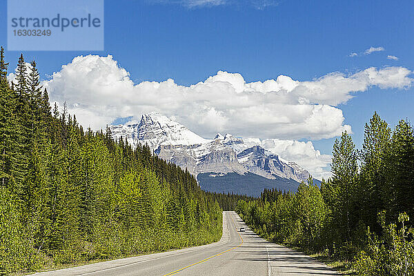 Kanada  Alberta  Jasper National Park  Banff National Park  Icefields Parkway  Mount Wilson