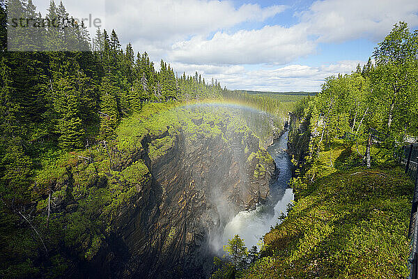 Schweden  Gaeddede  Wasserfall Haellingsafallet