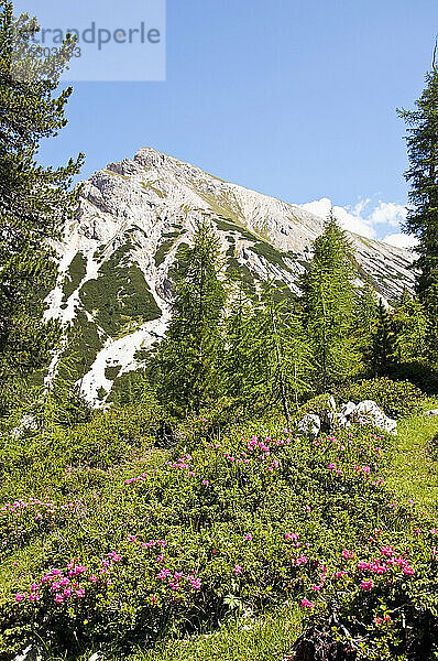 Italien  Südtirol  Dolomiten  Naturpark Fanes-Sennes-Prags  Berge zwischen Seekofel und Pragser Wildsee