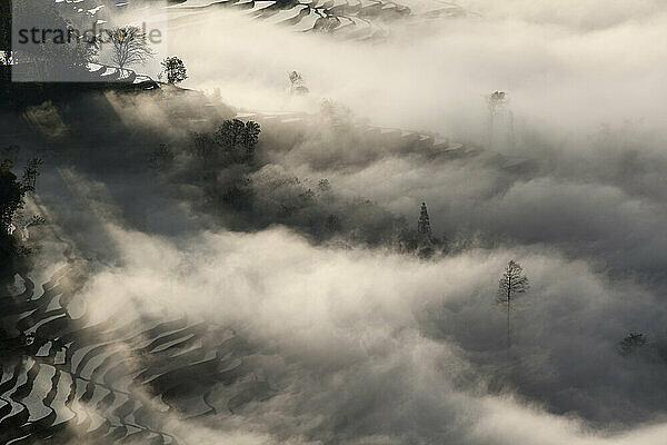 China  Yunnan  Yuanyang  Bedeckte Reisterrassen