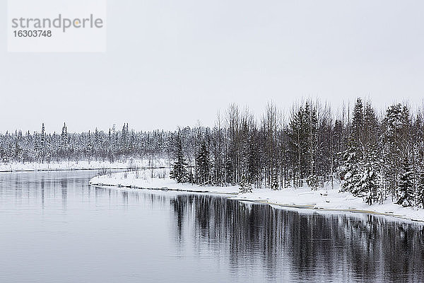 Finnland  Winterlandschaft bei Sodankylae  Ivalontie