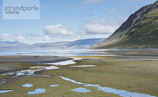 Insel  Westfjorde  Bucht bei Ebbe